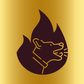 Home - Asanteman Association of Minnesota